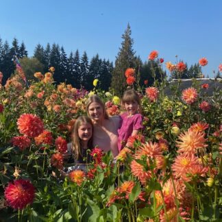 Grower's Choice Collection - 25 tubers