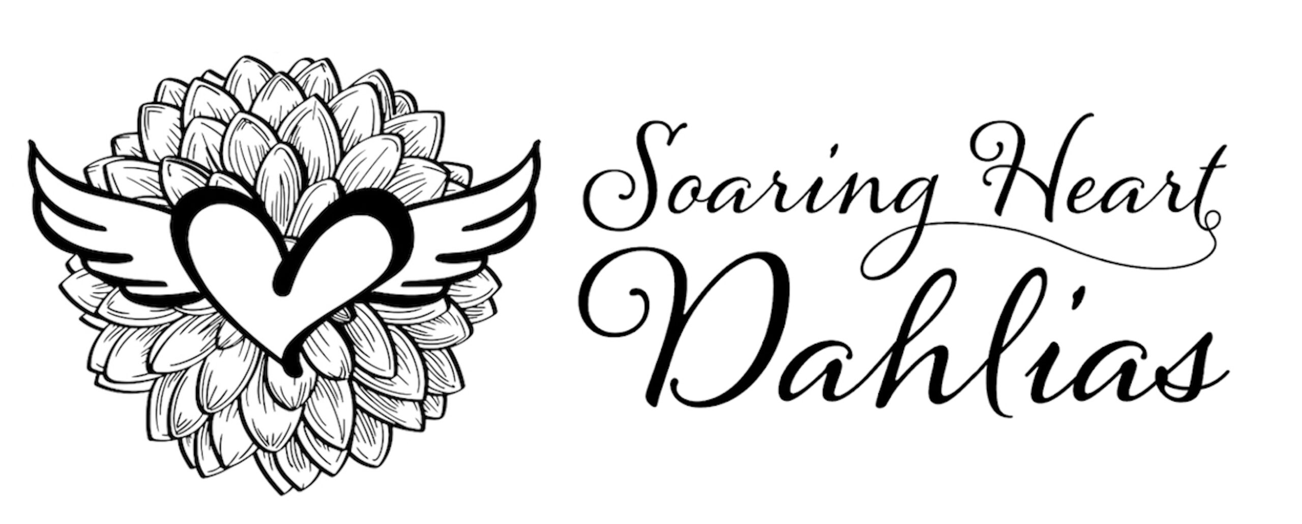 Soaring Heart Dahlias